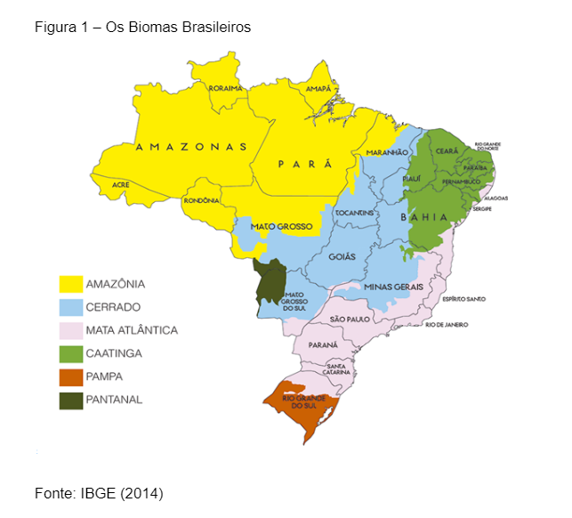 6 biomas brasileiros